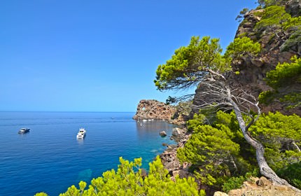 Pauschalreisen Mallorca Last Minute preiswert